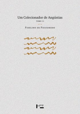 Capa de Um Colecionador de Angústias