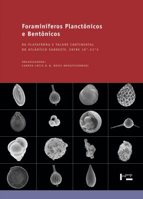 Capa de Foraminíferos Planctônicos e Bentônicos