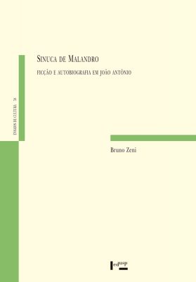 Capa de Sinuca de Malandro