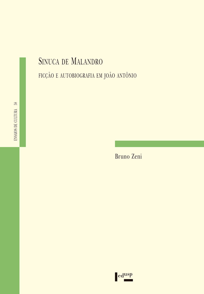 Capa de Sinuca de Malandro