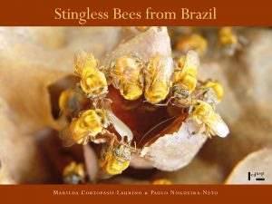 Stingless Bees from Brazil