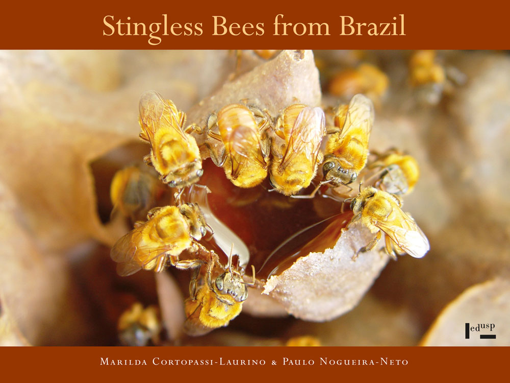 Capa de Stingless Bees from Brazil