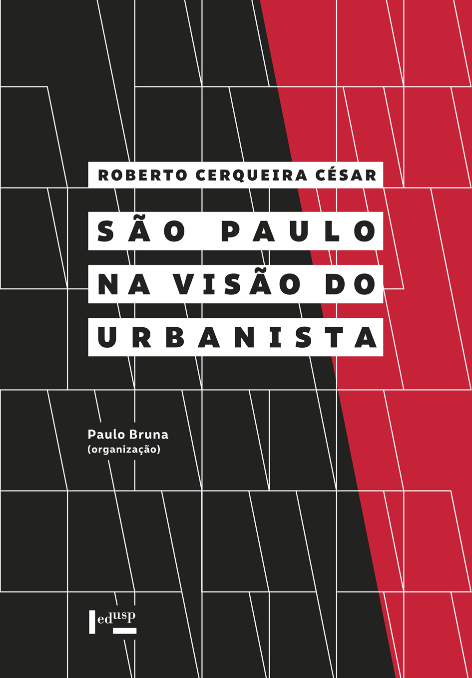São Paulo na Visão do Urbanista