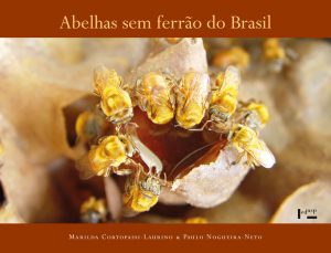 Abelhas sem Ferrão do Brasil